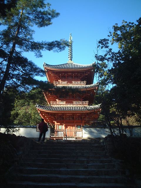 重要文化財・宝福寺三重塔の写真の写真