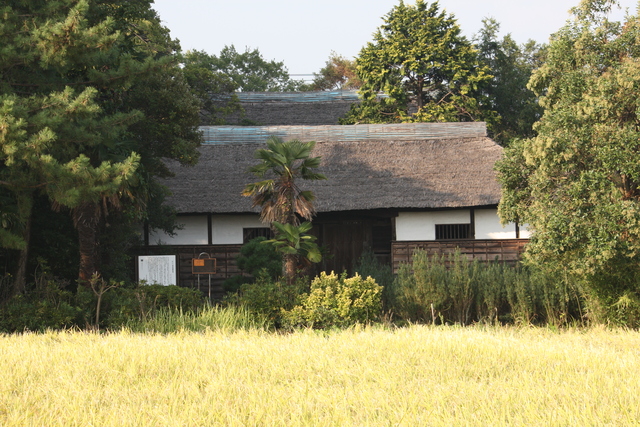 重要文化財・和井田家住宅・主屋の写真の写真