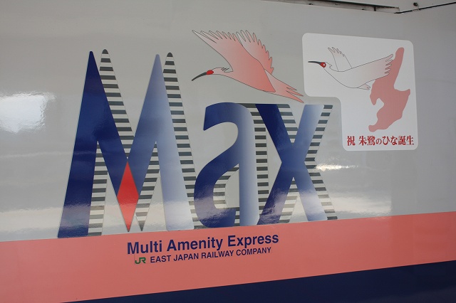 新幹線「E1系・Maxのロゴ」の写真の写真