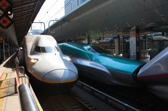 新幹線「E５系」・E4系と並ぶE5系の写真の写真