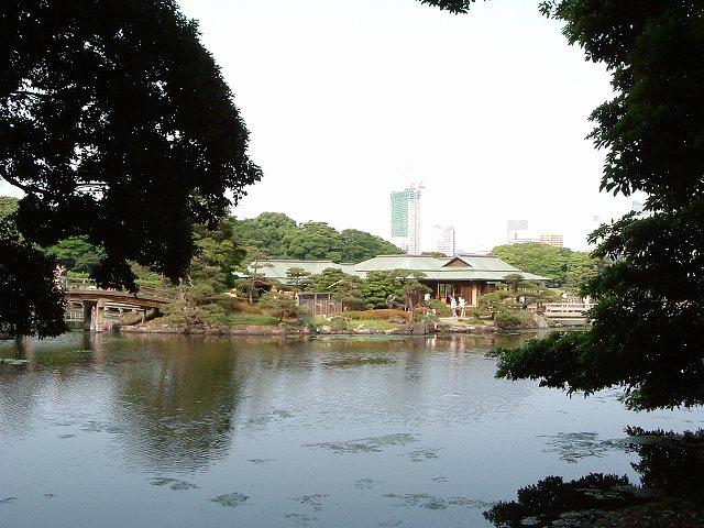 特別史跡と特別名勝の浜離宮恩賜庭園６の写真の写真
