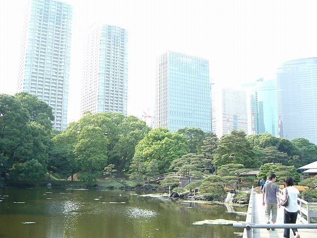特別史跡と特別名勝の浜離宮恩賜庭園９の写真の写真