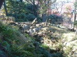 特別史跡と特別名勝の小石川後楽園の庭園４