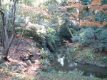 特別史跡と特別名勝の小石川後楽園の庭園８