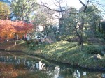 特別史跡と特別名勝の小石川後楽園の庭園１３