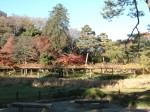 特別史跡と特別名勝の小石川後楽園の庭園２０