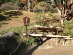 特別史跡と特別名勝の小石川後楽園の庭園２２