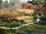 特別史跡と特別名勝の小石川後楽園の庭園２４