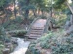 特別史跡と特別名勝の小石川後楽園の庭園２７