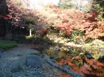 特別史跡と特別名勝の小石川後楽園の庭園３５