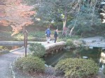 特別史跡と特別名勝の小石川後楽園の庭園３８