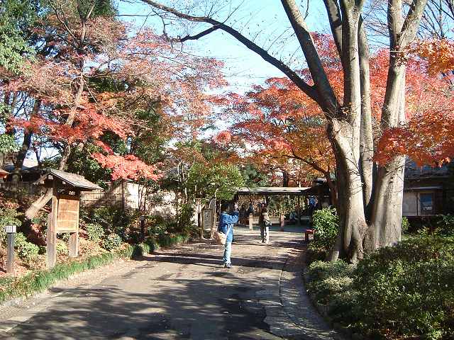 特別史跡と特別名勝の小石川後楽園の庭園１の写真の写真