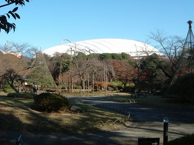 特別史跡と特別名勝の小石川後楽園の庭園２の写真の写真