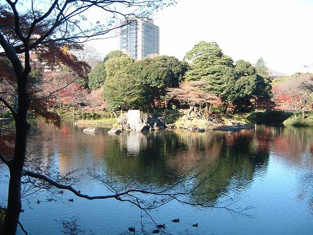 特別史跡と特別名勝の小石川後楽園の庭園７の写真の写真