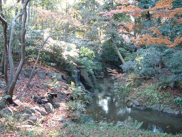 特別史跡と特別名勝の小石川後楽園の庭園８の写真の写真