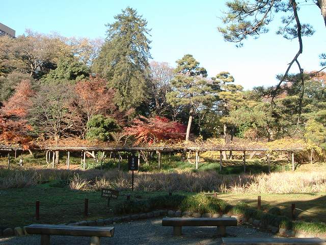 特別史跡と特別名勝の小石川後楽園の庭園２０の写真の写真