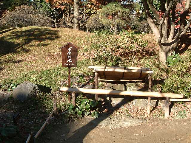 特別史跡と特別名勝の小石川後楽園の庭園２２の写真の写真