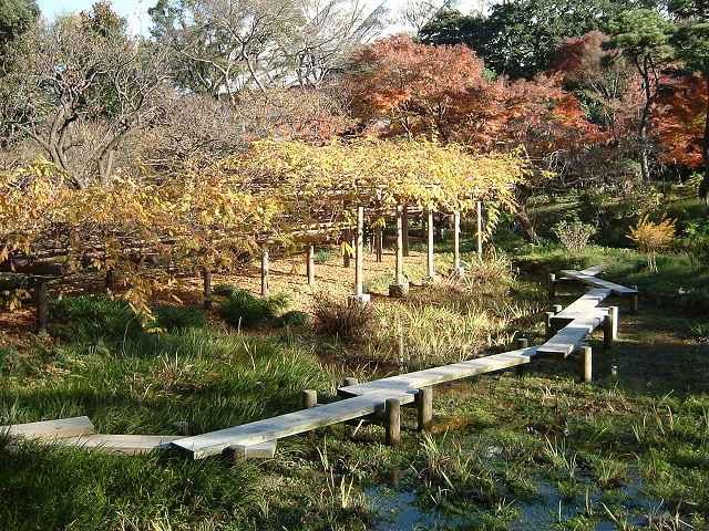 特別史跡と特別名勝の小石川後楽園の庭園２４の写真の写真
