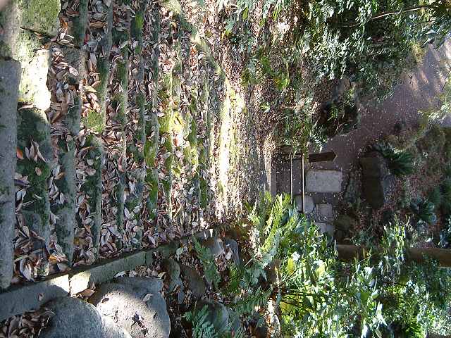 特別史跡と特別名勝の小石川後楽園の庭園２６の写真の写真
