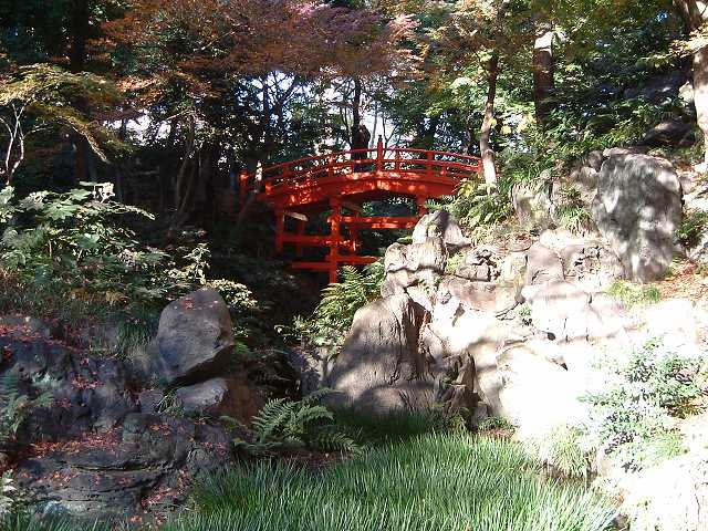 特別史跡と特別名勝の小石川後楽園の庭園３１の写真の写真