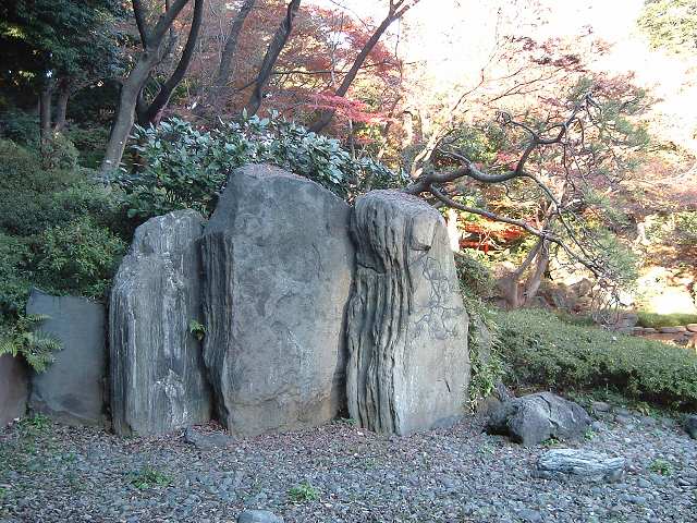 特別史跡と特別名勝の小石川後楽園の庭園３４の写真の写真