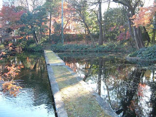 特別史跡と特別名勝の小石川後楽園の庭園３６の写真の写真