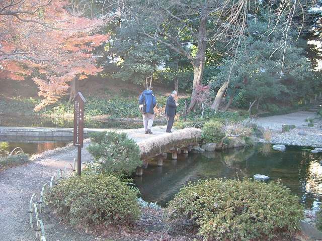 特別史跡と特別名勝の小石川後楽園の庭園３８の写真の写真