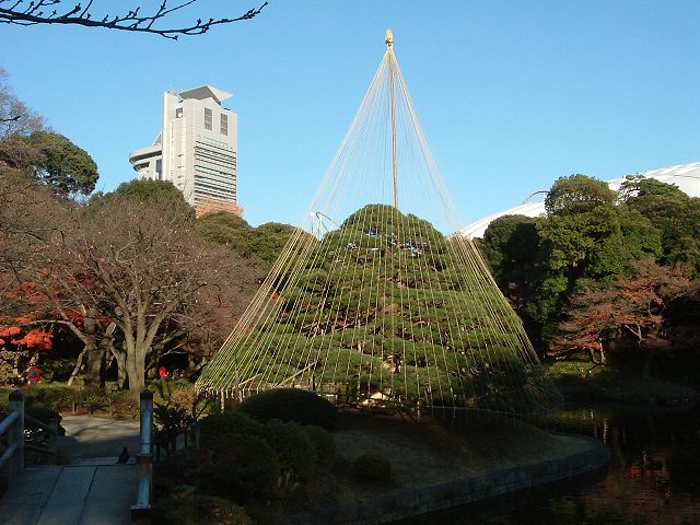 特別史跡と特別名勝の小石川後楽園の庭園４０の写真の写真