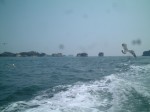 日本三景と特別名勝の陸奥松島の松島湾１７