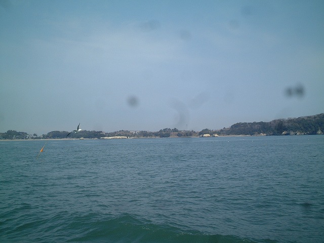 日本三景と特別名勝の陸奥松島の松島湾１５の写真の写真