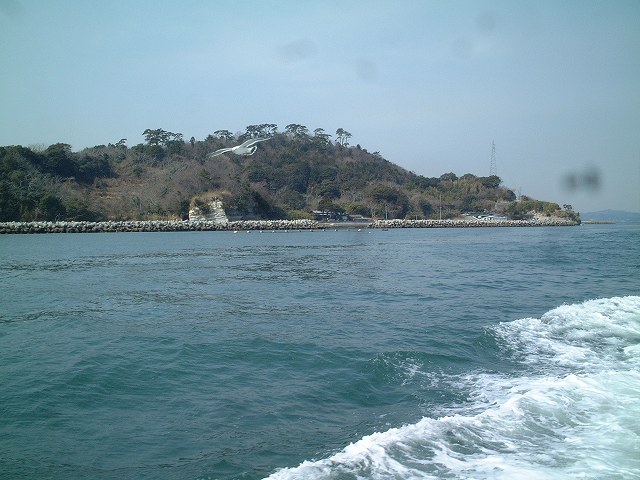 日本三景と特別名勝の陸奥松島の松島湾１８の写真の写真