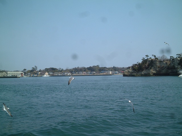 日本三景と特別名勝の陸奥松島の松島湾２１の写真の写真