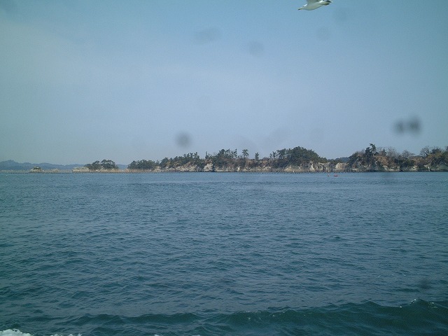 日本三景と特別名勝の陸奥松島の松島湾２２の写真の写真