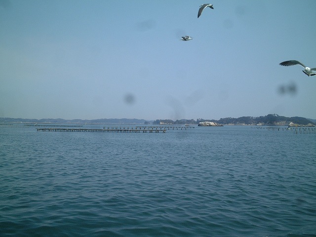 日本三景と特別名勝の陸奥松島の松島湾２５の写真の写真