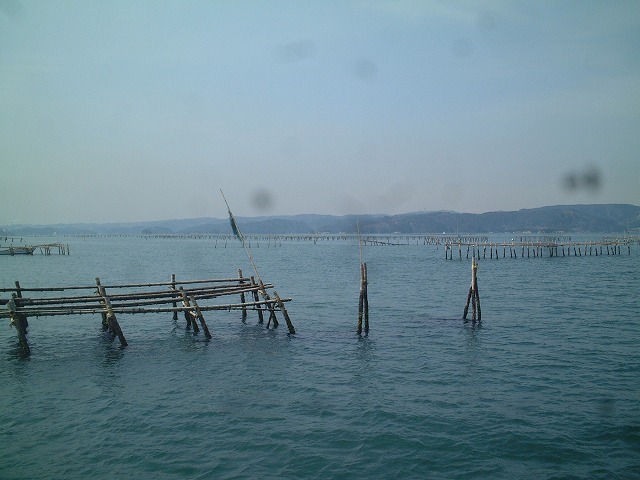 日本三景と特別名勝の陸奥松島の松島湾２６の写真の写真