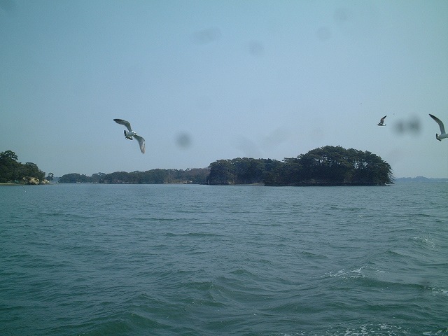 日本三景と特別名勝の陸奥松島の松島湾２９の写真の写真