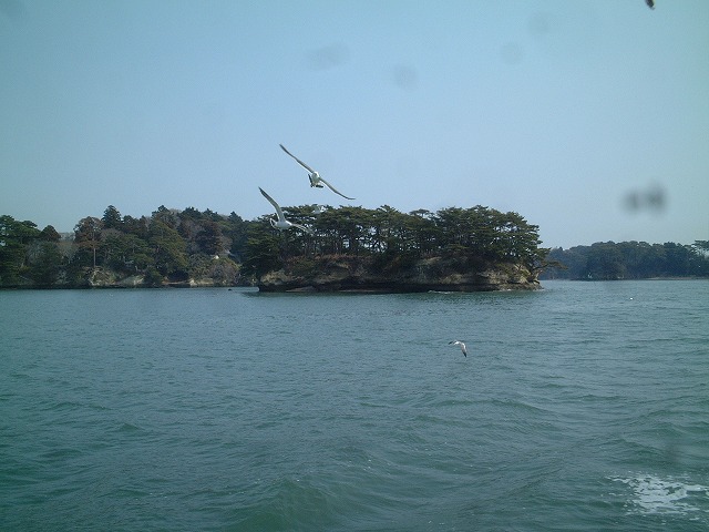 日本三景と特別名勝の陸奥松島の松島湾３０の写真の写真