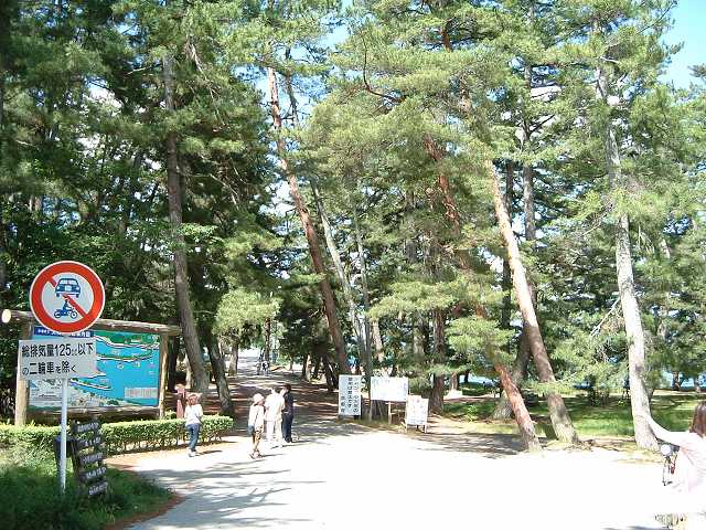 日本三景と特別名勝の丹波天橋立の砂洲と松林１の写真の写真