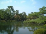 特別名勝の金沢兼六園の庭園１