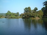 特別名勝の金沢兼六園・池と緑の調和がとてもきれい