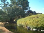 特別名勝の岡山後楽園の庭園１２