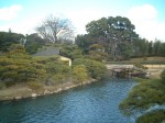 特別名勝の岡山後楽園の庭園１７