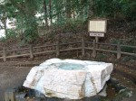 特別名勝の水戸偕楽園の庭園１５