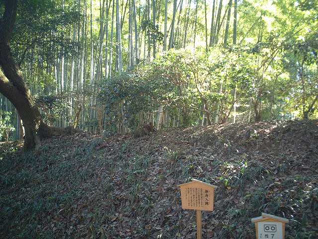 特別名勝の岡山後楽園の庭園６の写真の写真
