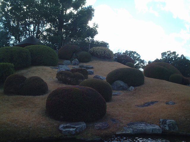 特別名勝の岡山後楽園の庭園１６の写真の写真