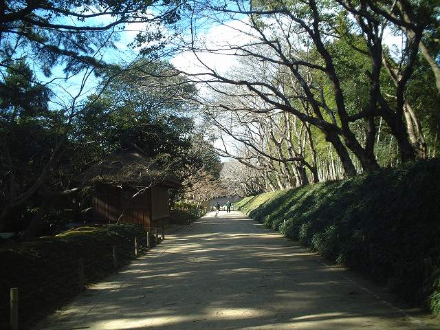 特別名勝の岡山後楽園の庭園２１の写真の写真