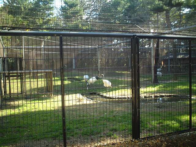 特別名勝の岡山後楽園の庭園２２の写真の写真