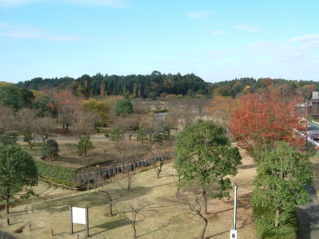 特別名勝の水戸偕楽園の庭園１の写真の写真