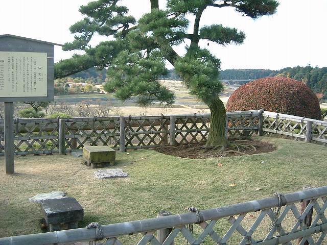 特別名勝の水戸偕楽園の庭園５の写真の写真