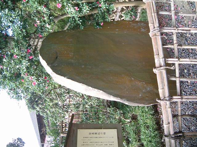 特別名勝の水戸偕楽園の庭園７の写真の写真